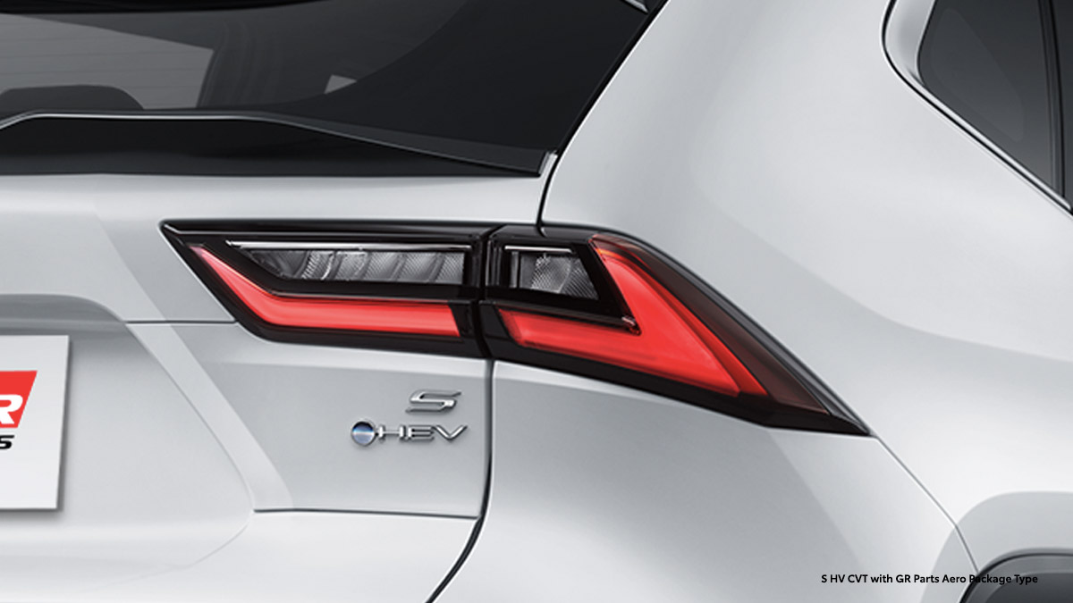 Attractive LED Rear Combination Lamp (All S Type)