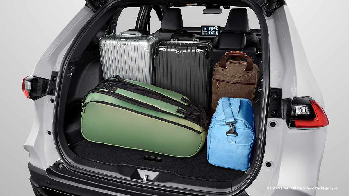 Cozy Spacious Luggage (All Type)